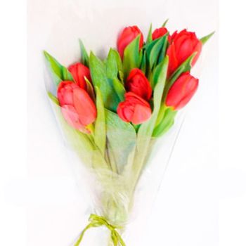Букеты из живых цветов / Недорогие букеты / Букет из 9 тюльпанов в упаковке