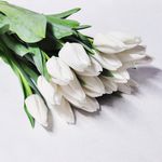 Тюльпаны белые поштучно 
