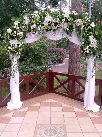 Свадебная флористика / Оформление свадебных арок /  Оформление арки цветами и тканями